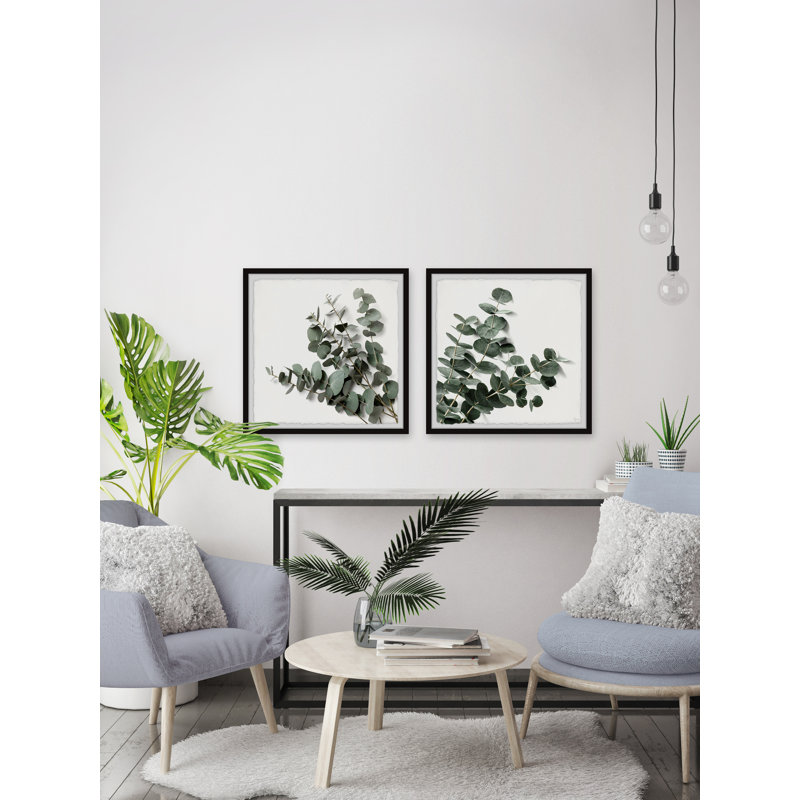 Fleur d'eucalyptus, H 18 po x l 18 po