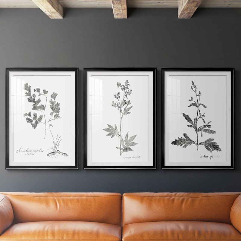 Botanical Imprint I - Impression personnalisée de qualité supérieure avec cadre mat - 3 pièces, H 30 po x l 63 po