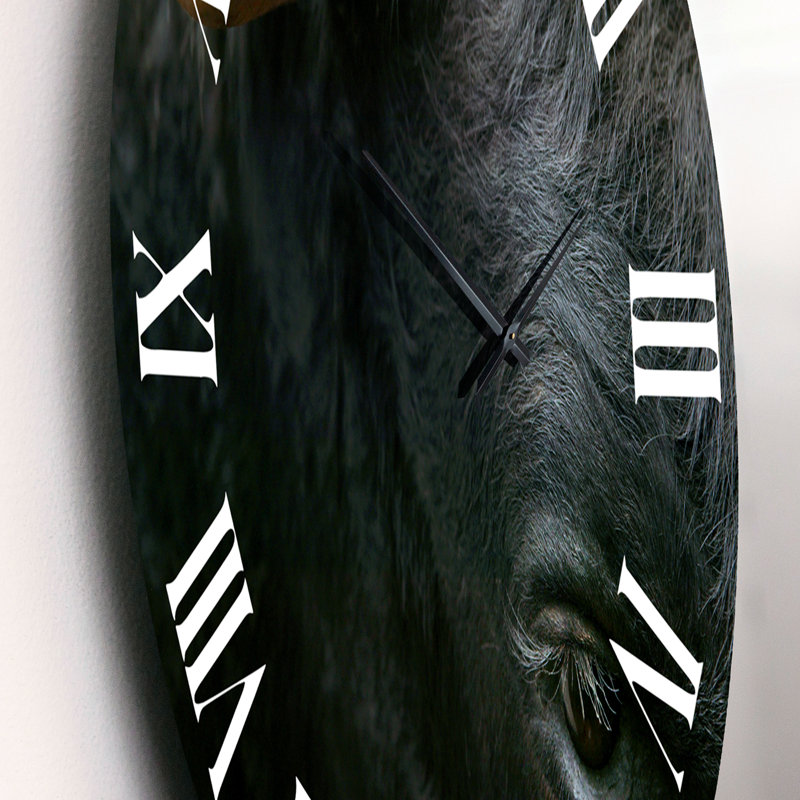 Fighting Bull Head, gros plan sur une horloge murale, Petit