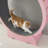 Denora 45'' Large Cat Running Wheel Treadmill-1762470012