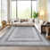 Randolph Machine Washable Rug Non-Shedding Rug for Living Room Bordered Design Modern Rug Soft Fluffy Pile Throw Rug Indoor Carpet Ultra-Thin Floor Cover for Bedroom Hallway Dining Room Kitchen Office Playroom