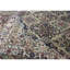 Lamani Wool Oriental Area Rug in Brown/Ivory/Green