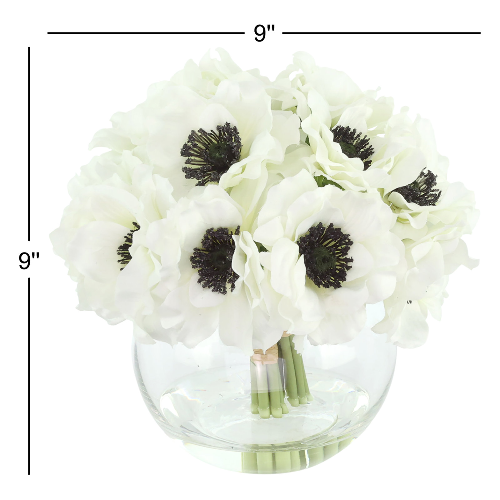 Anemone Arranged in a Glass Vase