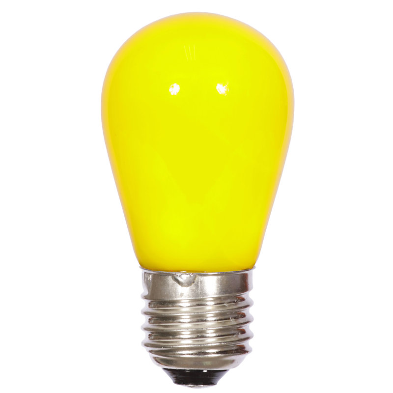 Light Bulbs
