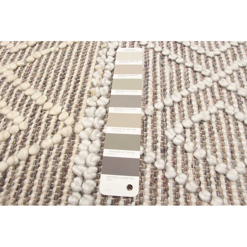 Iamandi Performance Hand Braided Wool Rug