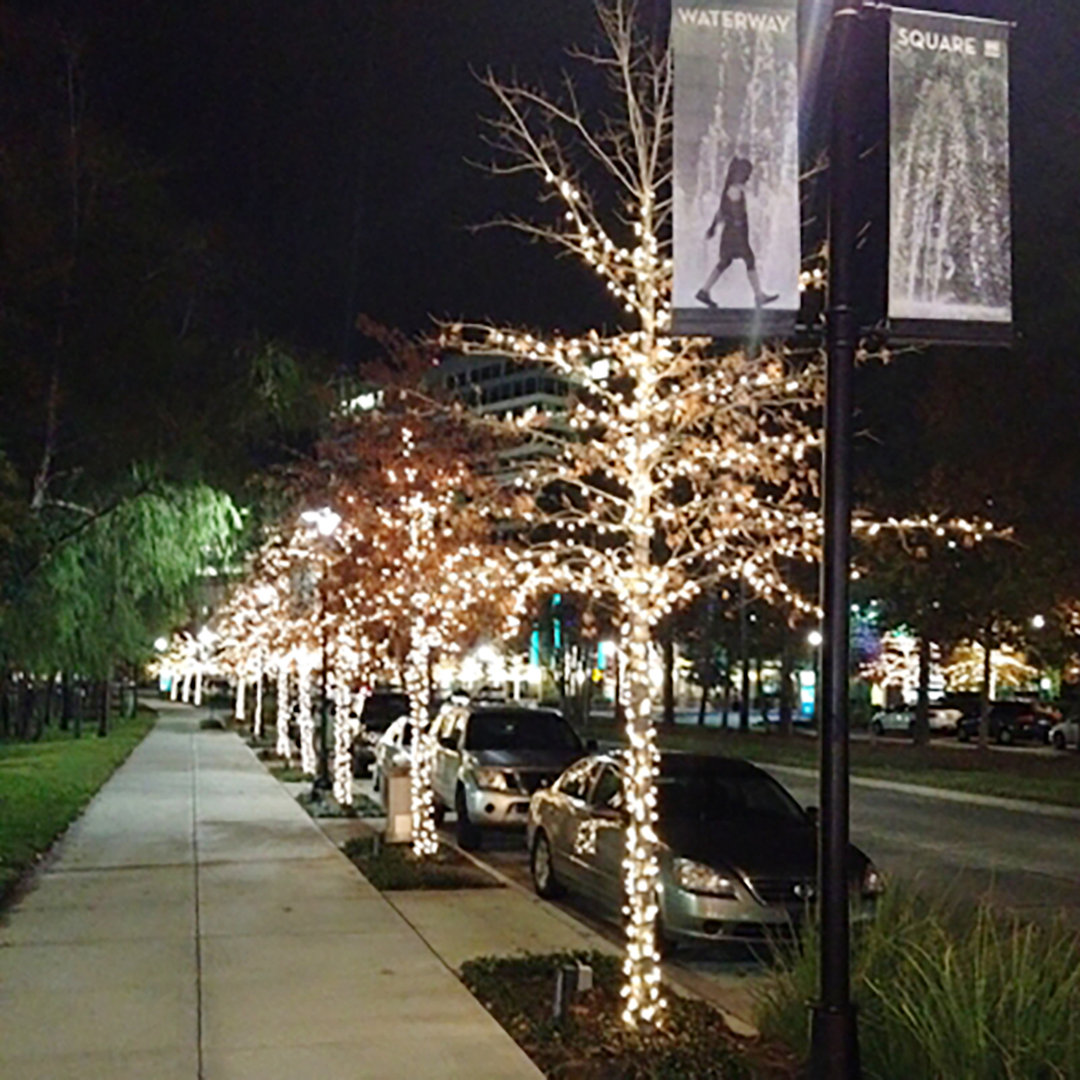 5mm Lightsets 24'' LED String Lights The Holiday Aisle® 