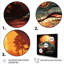 Crocodile orange et vert coucher de soleil - Art mural crocodile / alligator-705132544-705132558