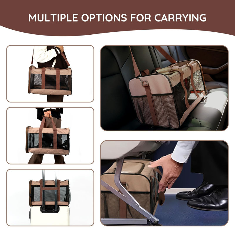 Pet Carrier, Hot Cacao