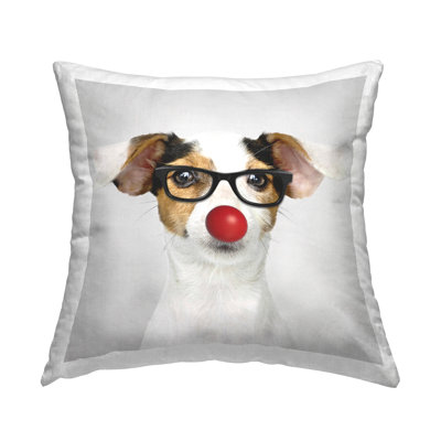 Throw Pillow