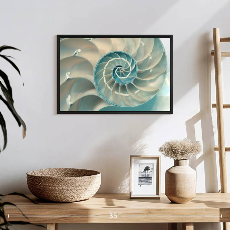 Inside A Nautilus Shell, 19" X 13", Floating Frame Black