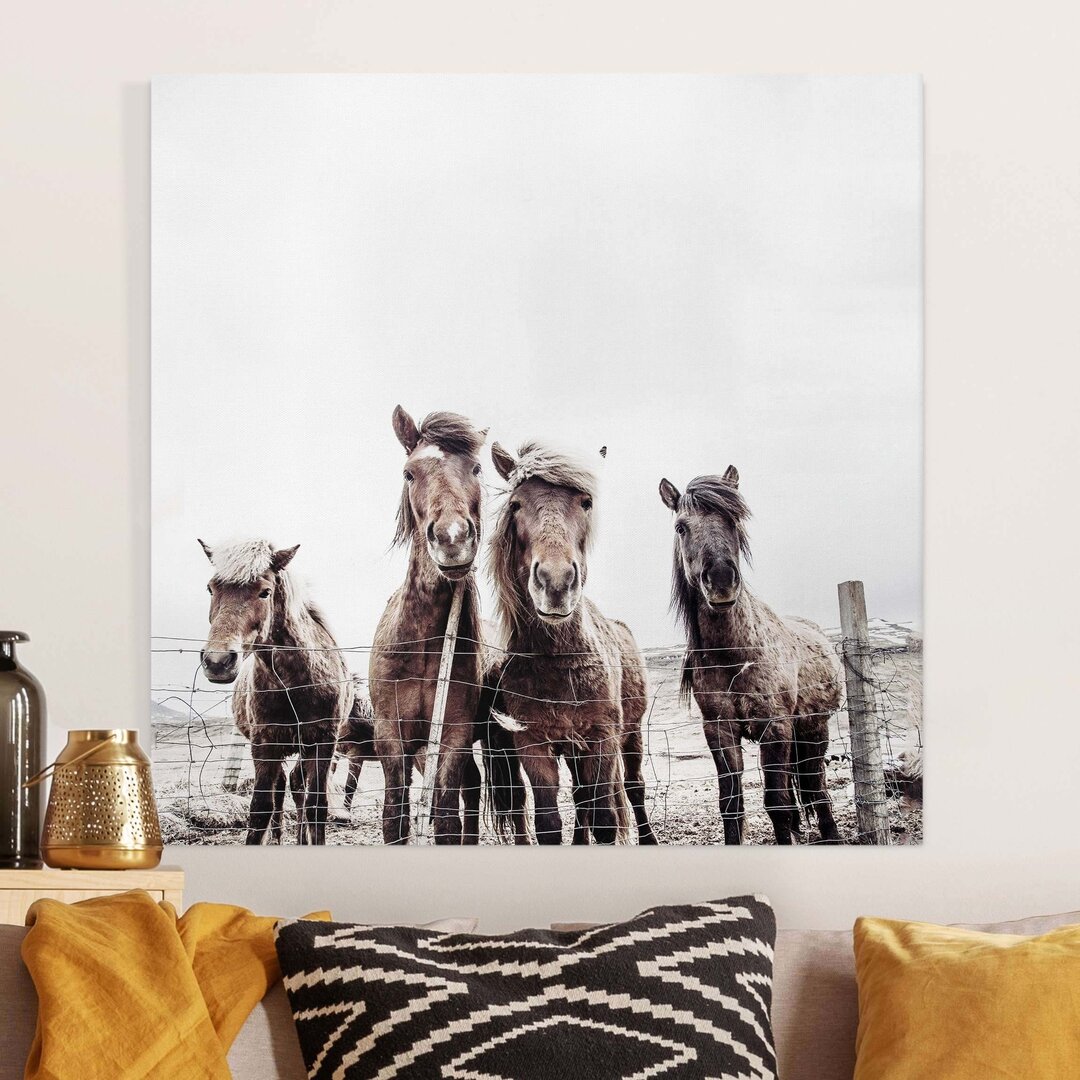 Leinwandbild Icelandic Horses von Monika Strigel