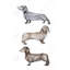 Petit chien teckel - Toile brune encadrée Home Decor