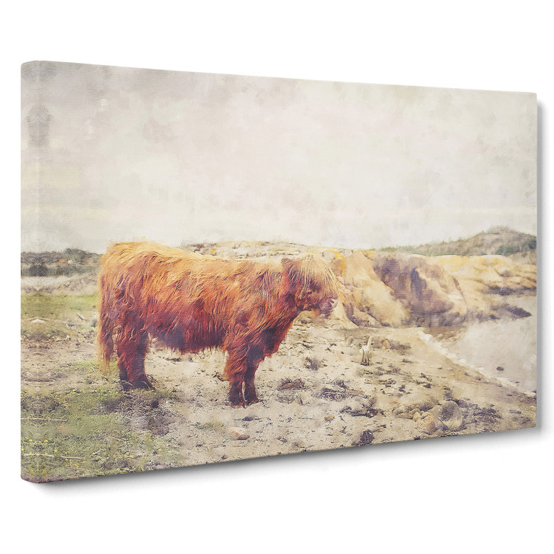 Highland Bull Cow Vol.3 - Wrapped Canvas, 50cm H x 76cm W x 3cm D