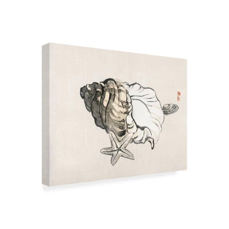 Art sur toile, bolognaise, étoile, H 14 po x l 19 po