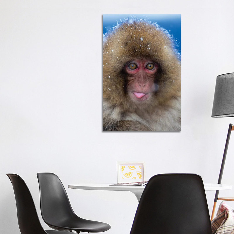 Snow Monkey Catching Snow Japan by Mogens Trolle - Wrapped Canvas Print, 101.6 cm H x 66.04 cm W x 1.91 cm D