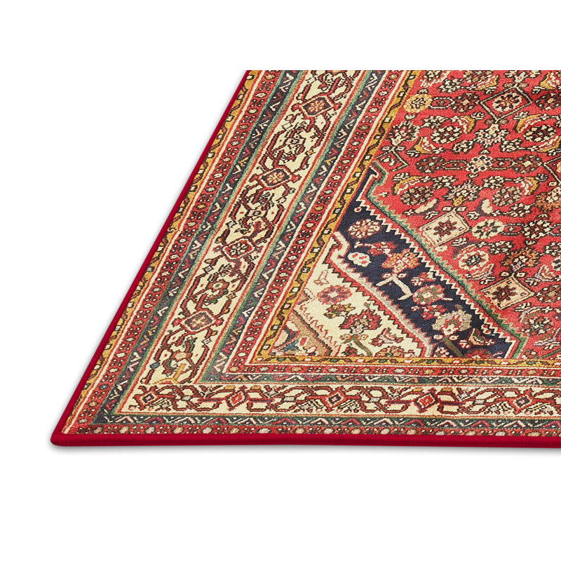 Oriental Indoor Rug, Rectangle 5' x 7'