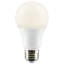 A19 DEL, ampoule, E26 / base moyenne (standard)-780848790-674358902-722322782