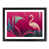 Black Frame selected