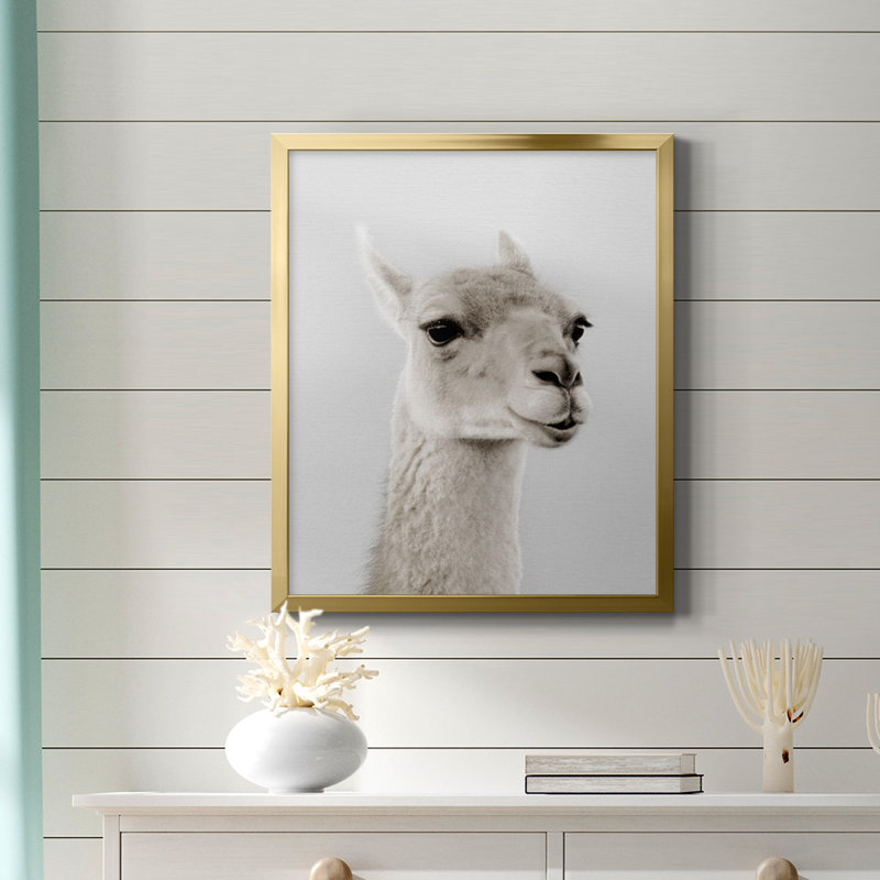 Soft Llama Premium Framed Canvas - Ready to Hang, Gold, 24" H x 20" W