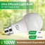 GY B22 Bayonet LED Light Bulb Cool White 6500K, A60 8W 1521LM High Energy-Efficient Class B, Replaces 100W, Non-Dimmable, 6 PCS