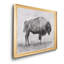 «Wild Bison Study I», impression sur toile encadrée-1140489441-1140489469