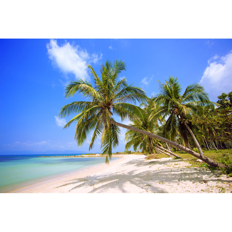 Plage tropicale - photographie sur toile tendue, L 12 po x H 8 po