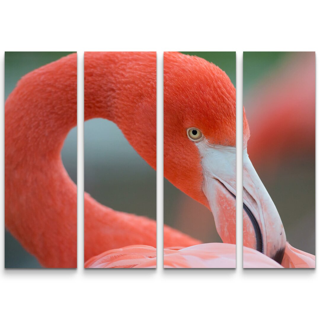 4-tlg. Leinwandbilder-Set Flamingo