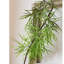 Ensemble de branches artificielles 39,7 po-468678660