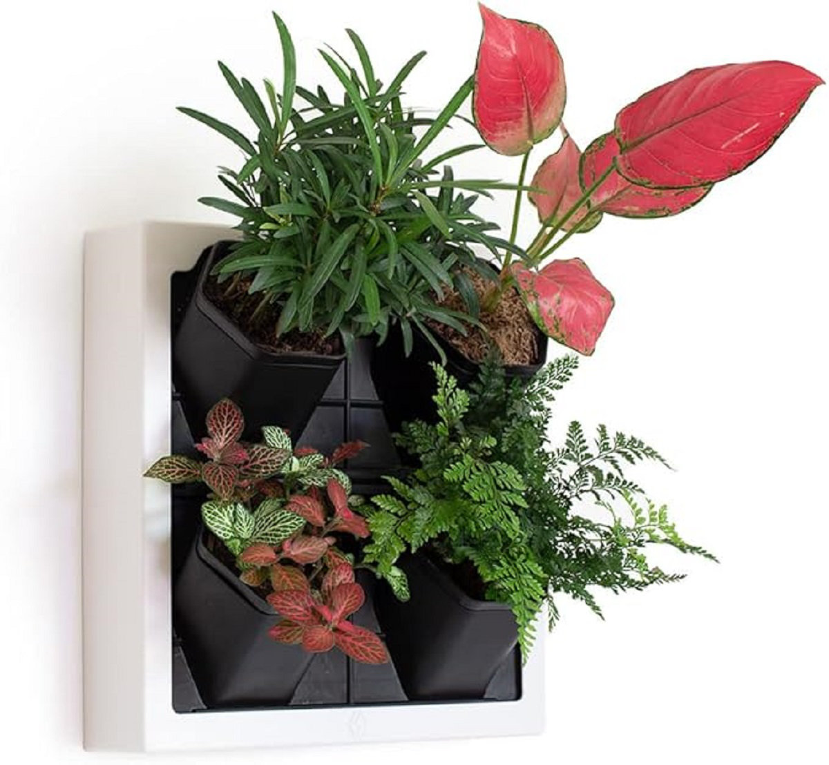 Picture of Latitude Run® Self Watering Wall Planter With 4 Pots - Easy To Create ...