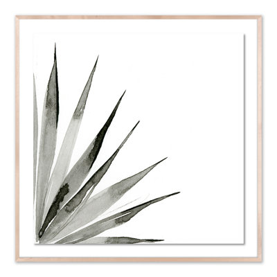 Agave II Print by Jess Engle