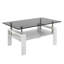Table basse rectangulaire, plateau en verre trempé avec panneau de fibres à densité moyenne, table moderne pour le salon, verre gris-125538192-125538193