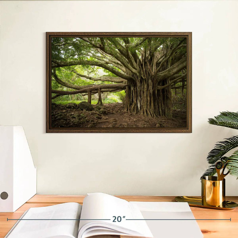 Banyan Tree, 13 po x 9 po, Cadre flottant noyer