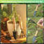 Plant Stand - Set of 7