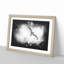 Flying Seagull - Picture Frame Graphic Art Print-56862992-56862994