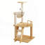 Tour pour chat moderne de 41,3 pouces