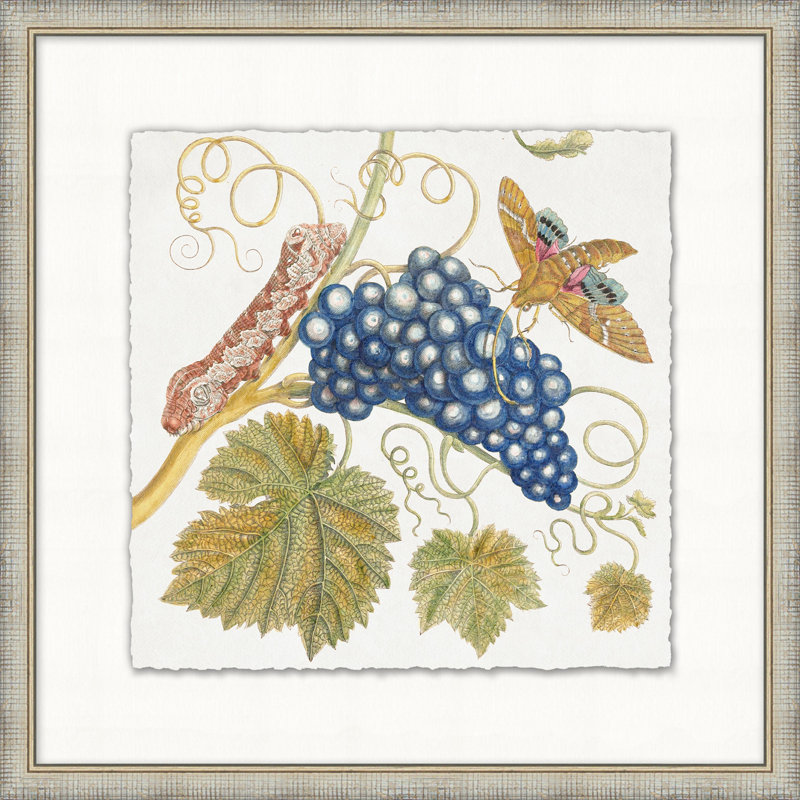 Garden Butterflies 9 - Peinture avec cadre photo