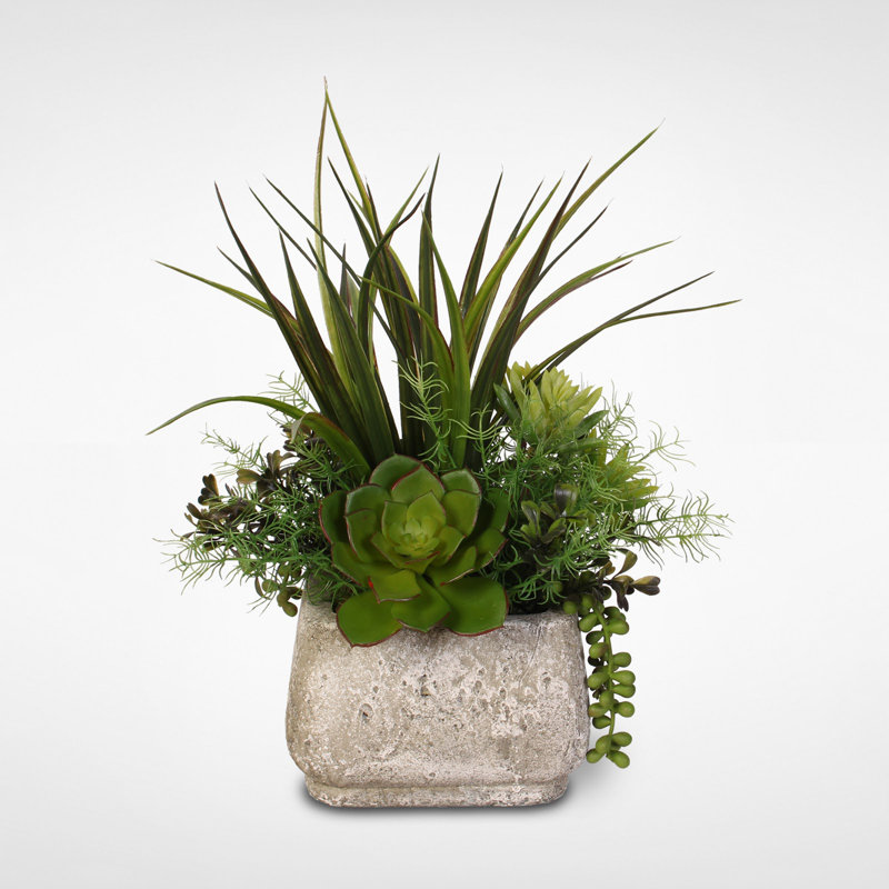 Faux Succulent Plant in Cement Planter