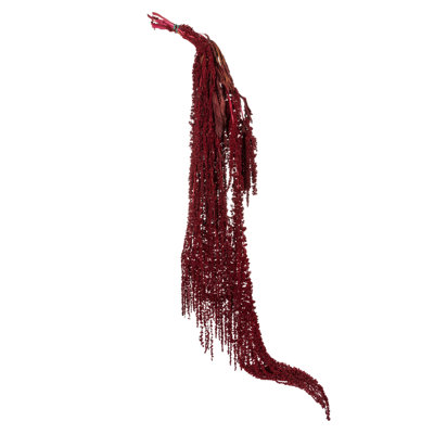 30" Amaranthus Bundle, Preserved