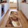 Premium Machine Washable Prisco Paprika Rug