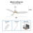 Eleanar 48'' Ceiling Fan with LED Lights