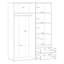 Taneem 3 Door Manufactured Wood Wardrobe