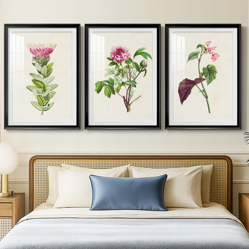 «Pretty Pink Botanicals IV», reproduction encadrée sur mesure de qualité supérieure - 3 pièces, H 15 po x l 19 po, Noir