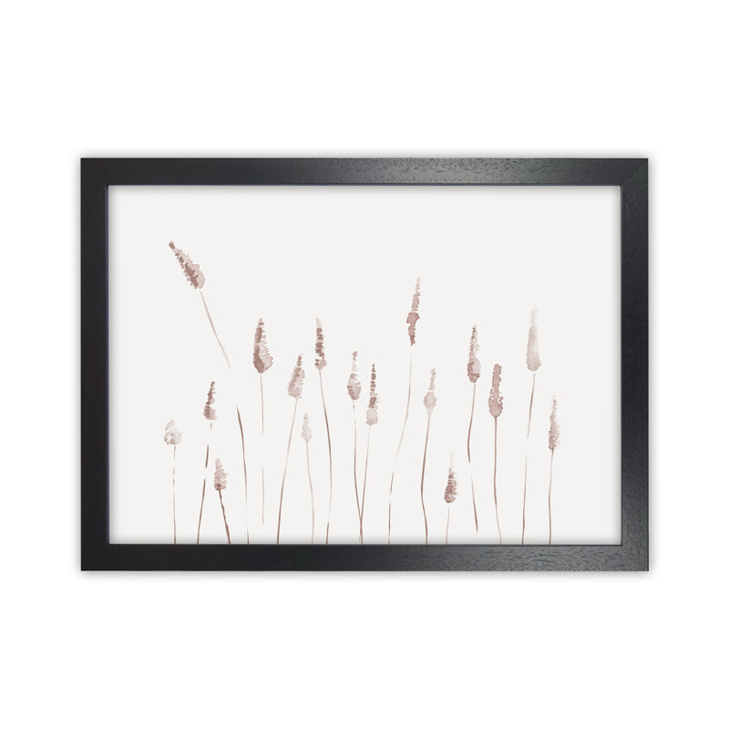 Botanicals II - Print, 64cm H x 88cm W x 3cm D, Black Framed