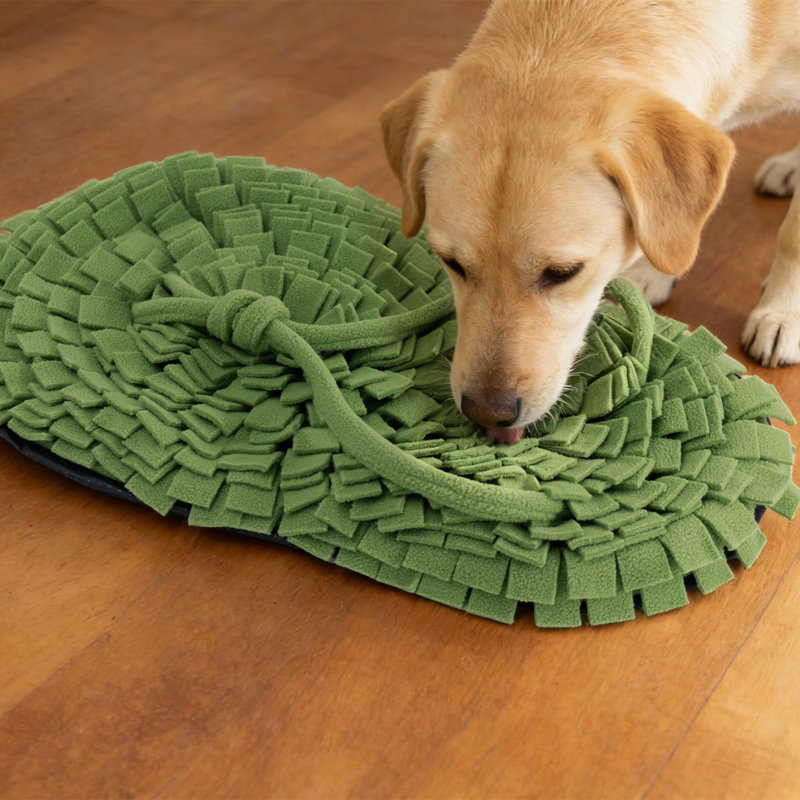 Tapis de jeu pour chien pour chien Sniffle Sniffle Nosework, Vert