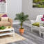 Palmier artificiel en pot-246263168