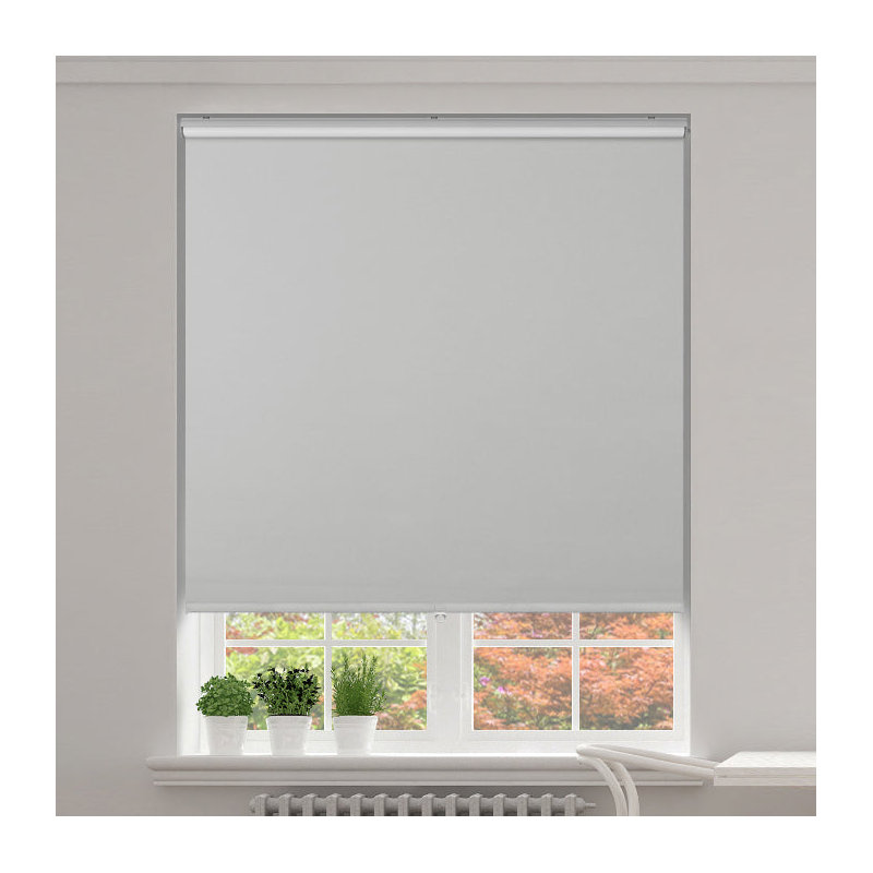 Blackout Roller Shade, 46"W x 72"L