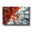 «Red Autumn Leaves» par Iorg Vitomirov, art mural sur toile-102451716