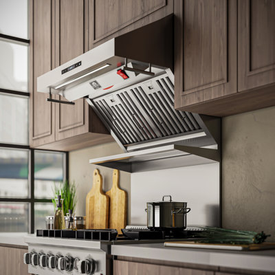 Savona 30-inch Wall Mount Range Hood in Stainless Steel, 600 CFM Double Motors Top Exhaust Vent