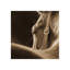Tender Mist Print by Sofia Fox-26704451-26704453