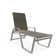 Holna Outdoor Rust-Resistant Metal Chaise Lounge